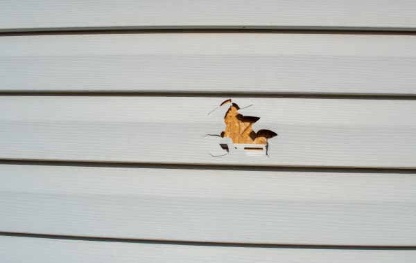 Siding Hole Repair in Bear