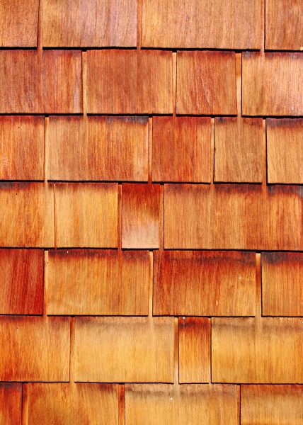 Cost of Wood Siding Replacement in Bear